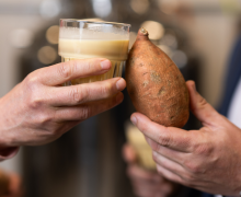 A hand holding a glass of white liquid beside another hand holding a sweet potato. Appalachian State University researchers, backed by a $1.82 million grant, have found a new use for sweet potatoes: sweet potato milk. It features a rich texture and sweet taste with a slight tint of the signature orange hue. Photo by Chase Reynolds